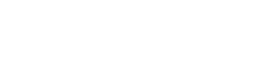 Brooklyn Data Logo
