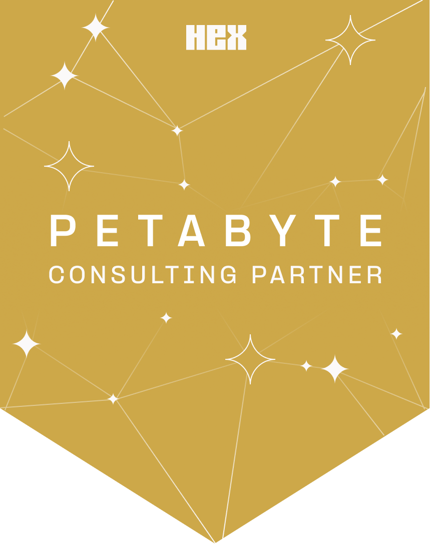 Petabyte Partner Image