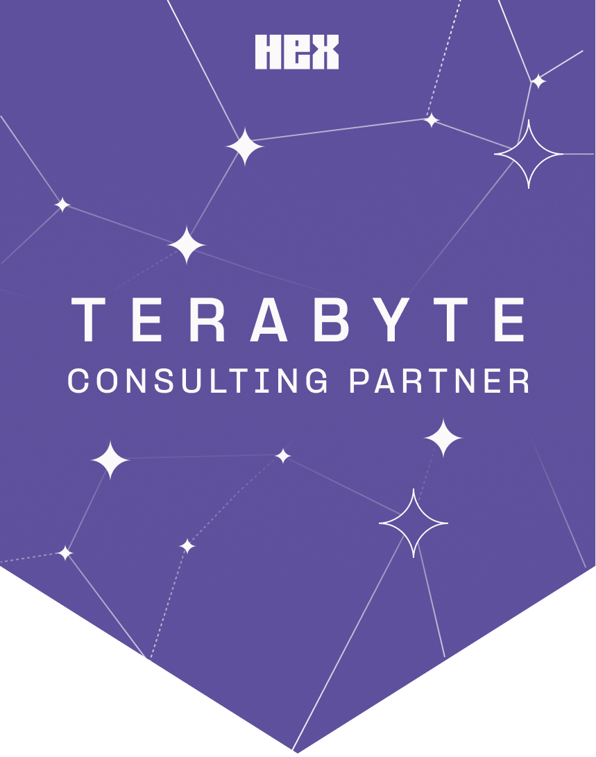 Terabyte Partner Image